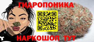 метадон Партизанск